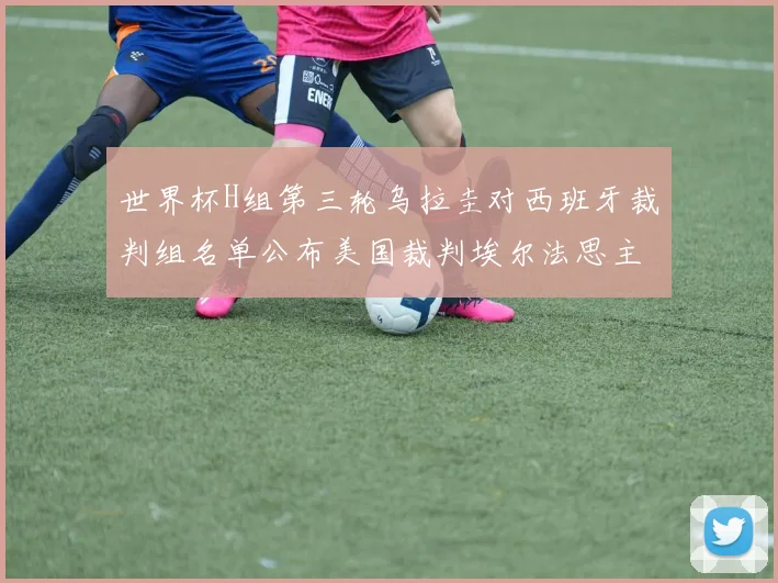 世界杯H组第三轮乌拉圭对西班牙裁判组名单公布美国裁判埃尔法思主裁判
