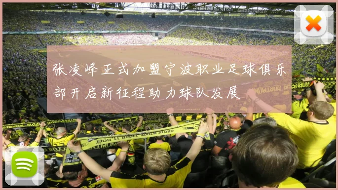 张凌峰正式加盟宁波职业足球俱乐部开启新征程助力球队发展
