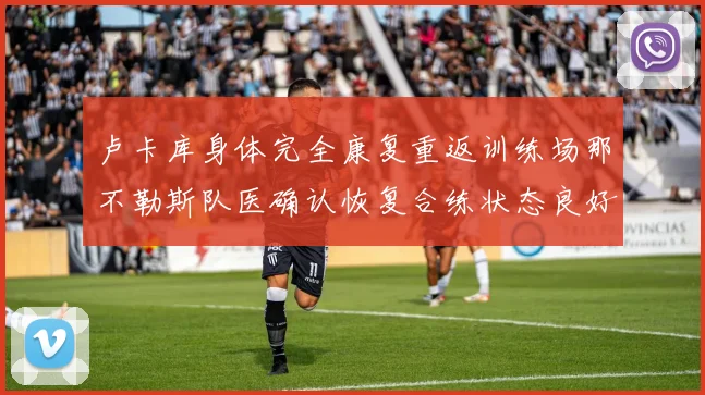 卢卡库身体完全康复重返训练场那不勒斯队医确认恢复合练状态良好
