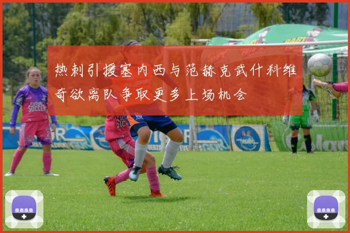 热刺引援塞内西与范赫克武什科维奇欲离队争取更多上场机会