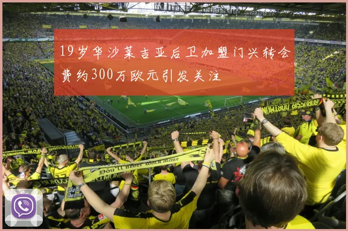 19岁华沙莱吉亚后卫加盟门兴转会费约300万欧元引发关注