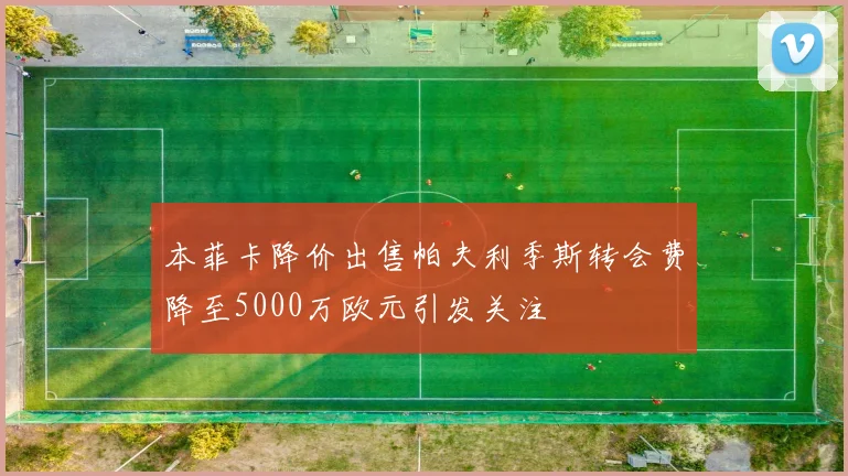 本菲卡降价出售帕夫利季斯转会费降至5000万欧元引发关注